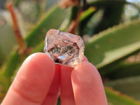 Natural Smokey Window Quartz Crystals x 70 From Brandberg, Namibia