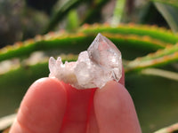 Natural Smokey Window Quartz Crystals x 70 From Brandberg, Namibia