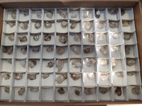 Natural Smokey Window Quartz Crystals x 70 From Brandberg, Namibia