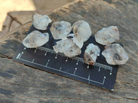Natural Smokey Window Quartz Crystals x 70 From Brandberg, Namibia