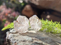 Natural Smokey Window Quartz Crystals x 70 From Brandberg, Namibia