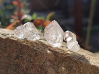Natural Smokey Window Quartz Crystals x 70 From Brandberg, Namibia