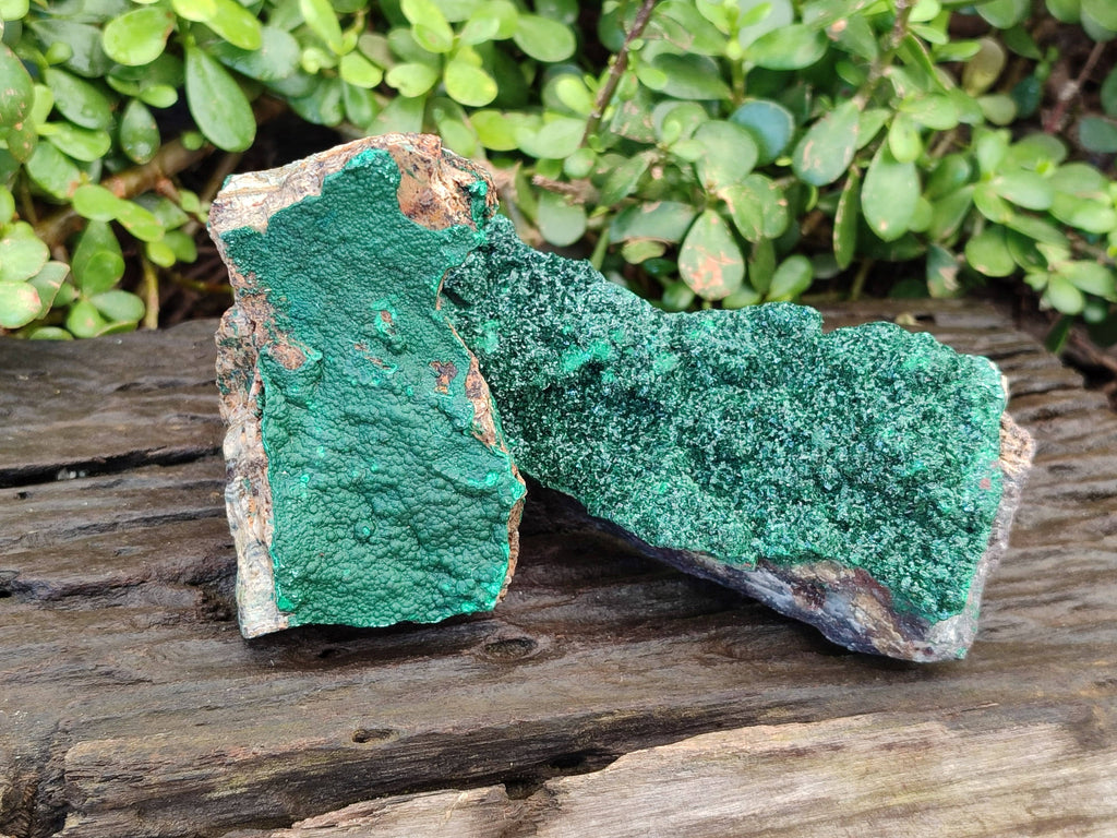 Natural Crystalline Malachite Specimens x 2 From Congo - Toprock Gemstones and Minerals 