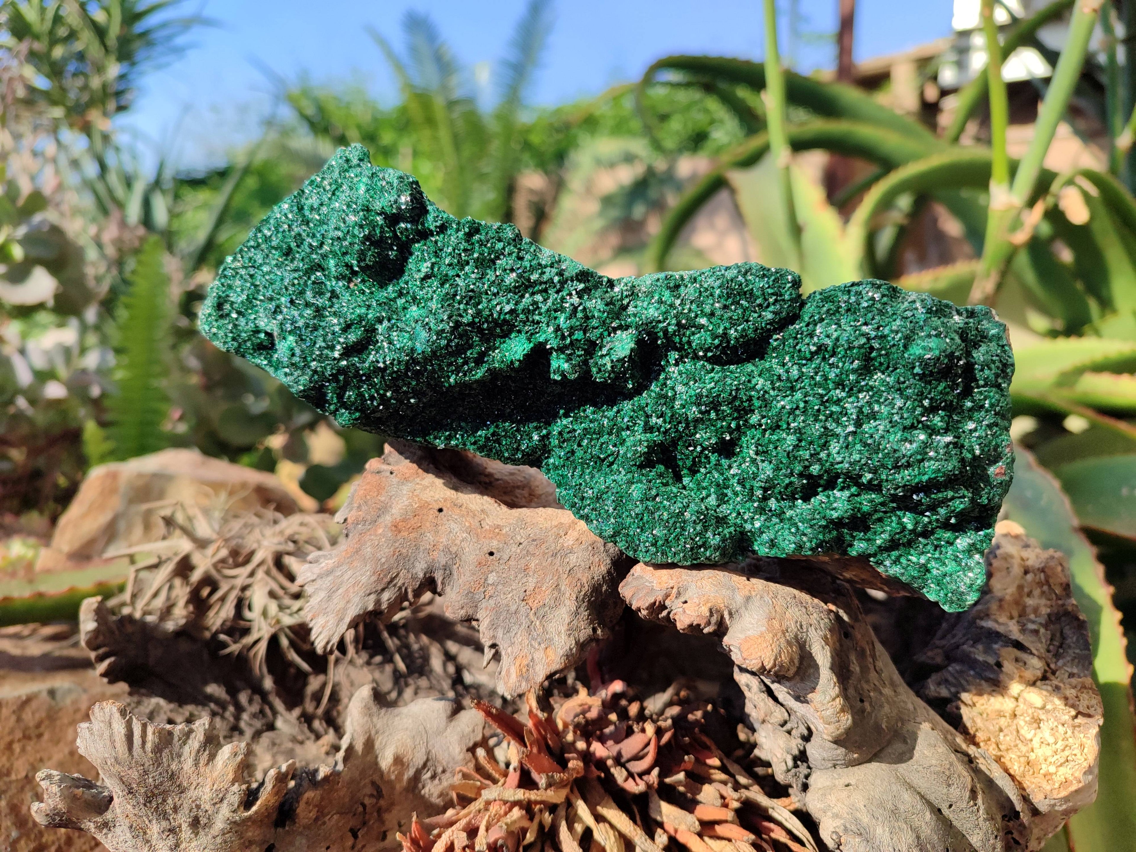 Natural Crystalline Malachite Specimens x 2 From Congo - Toprock Gemstones and Minerals 