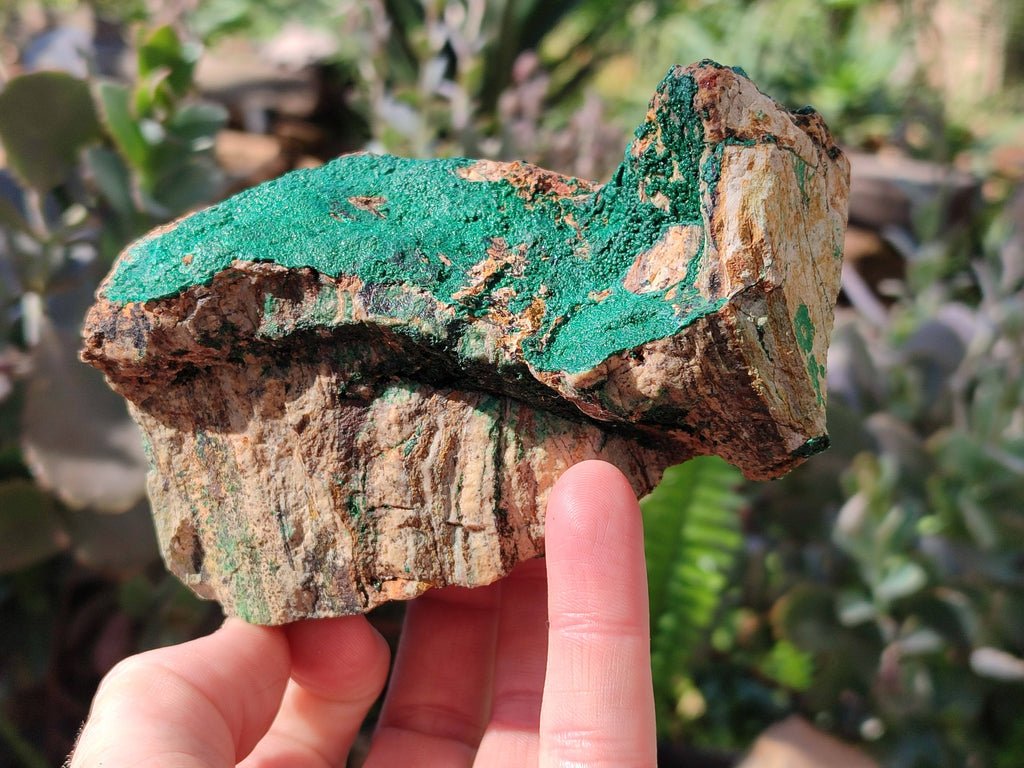 Natural Crystalline Malachite Specimens x 2 From Congo - Toprock Gemstones and Minerals 
