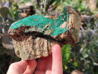 Natural Crystalline Malachite Specimens x 2 From Congo - Toprock Gemstones and Minerals 