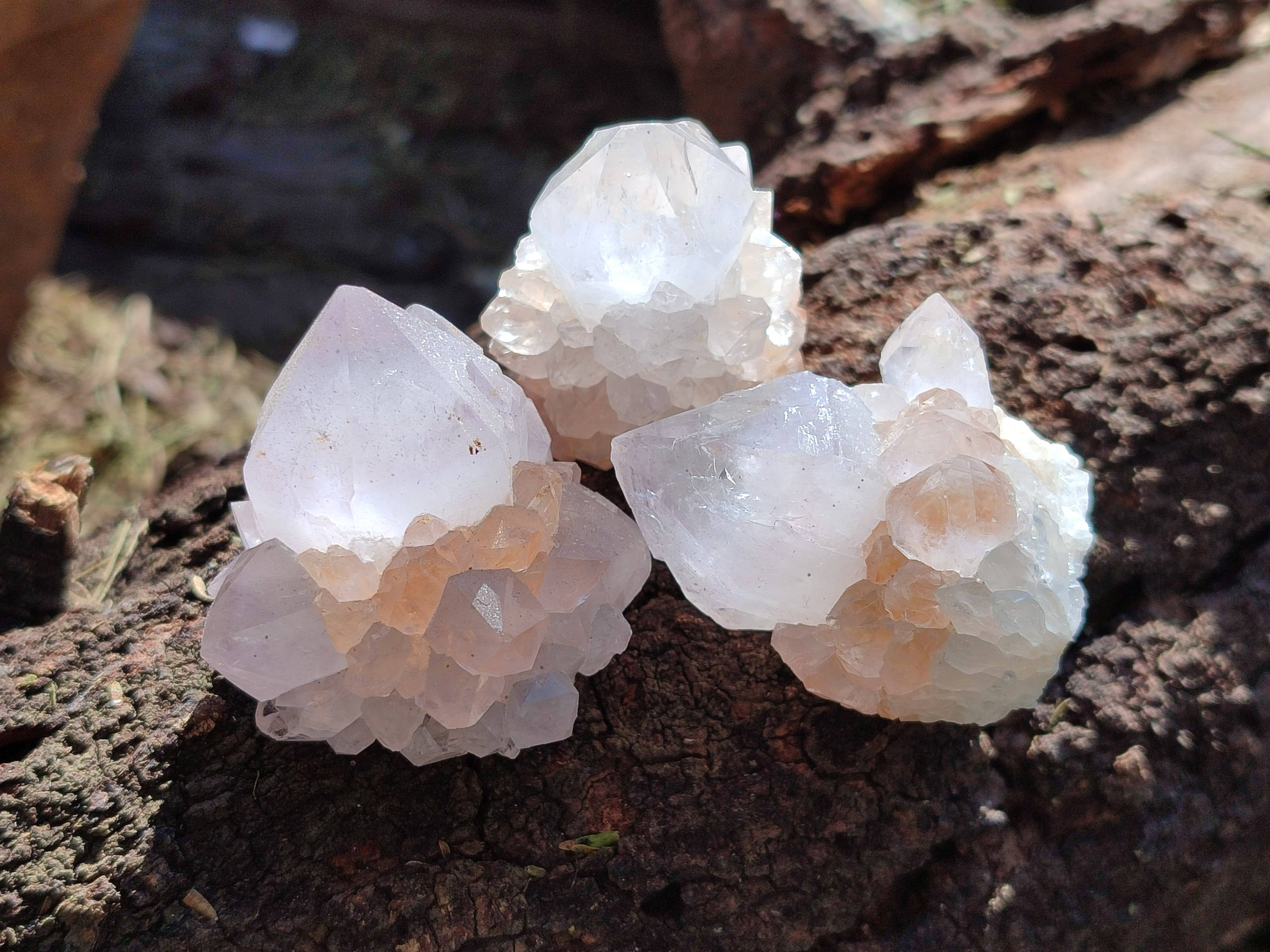 Natural Amethyst Spirit Quartz Specimens x 20 From South Africa - Toprock Gemstones and Minerals 