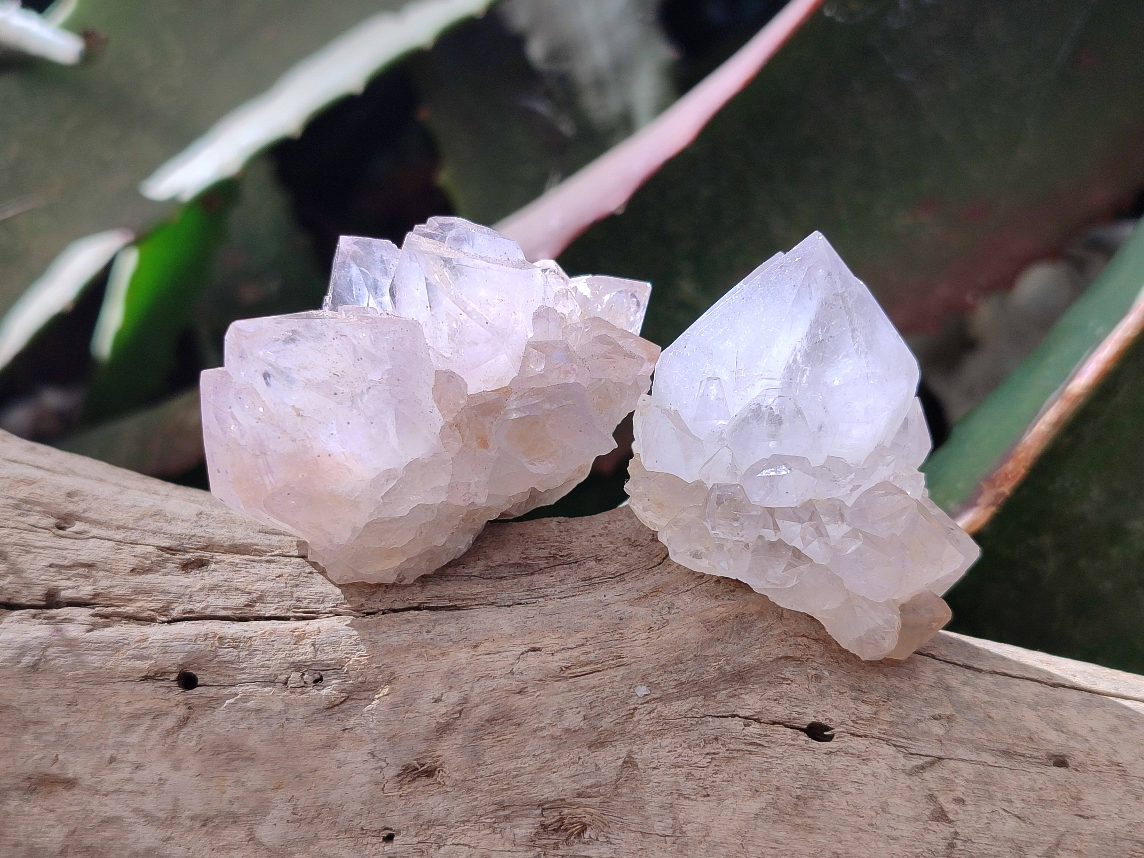 Natural Amethyst Spirit Quartz Specimens x 20 From South Africa - Toprock Gemstones and Minerals 