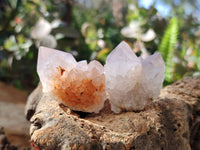Natural Amethyst Spirit Quartz Specimens x 20 From South Africa