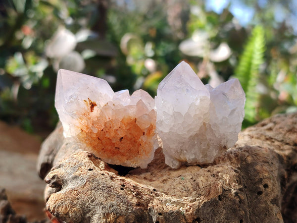 Natural Amethyst Spirit Quartz Specimens x 20 From South Africa
