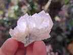 Natural Amethyst Spirit Quartz Specimens x 20 From South Africa - Toprock Gemstones and Minerals 
