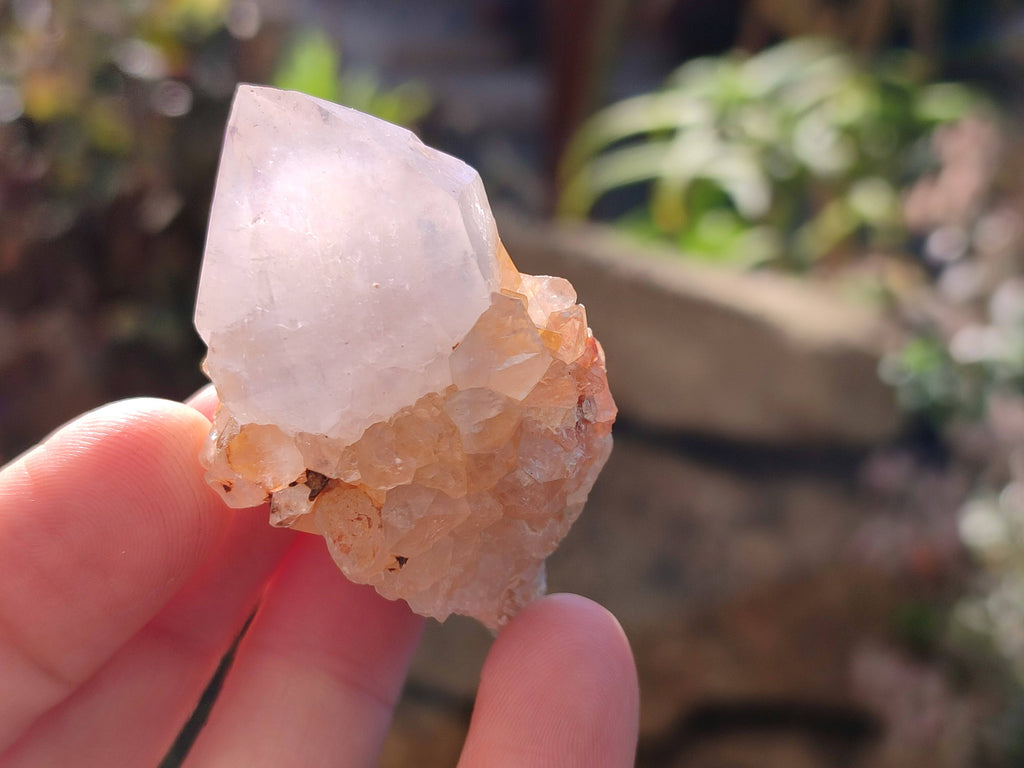 Natural Amethyst Spirit Quartz Specimens x 20 From South Africa - Toprock Gemstones and Minerals 