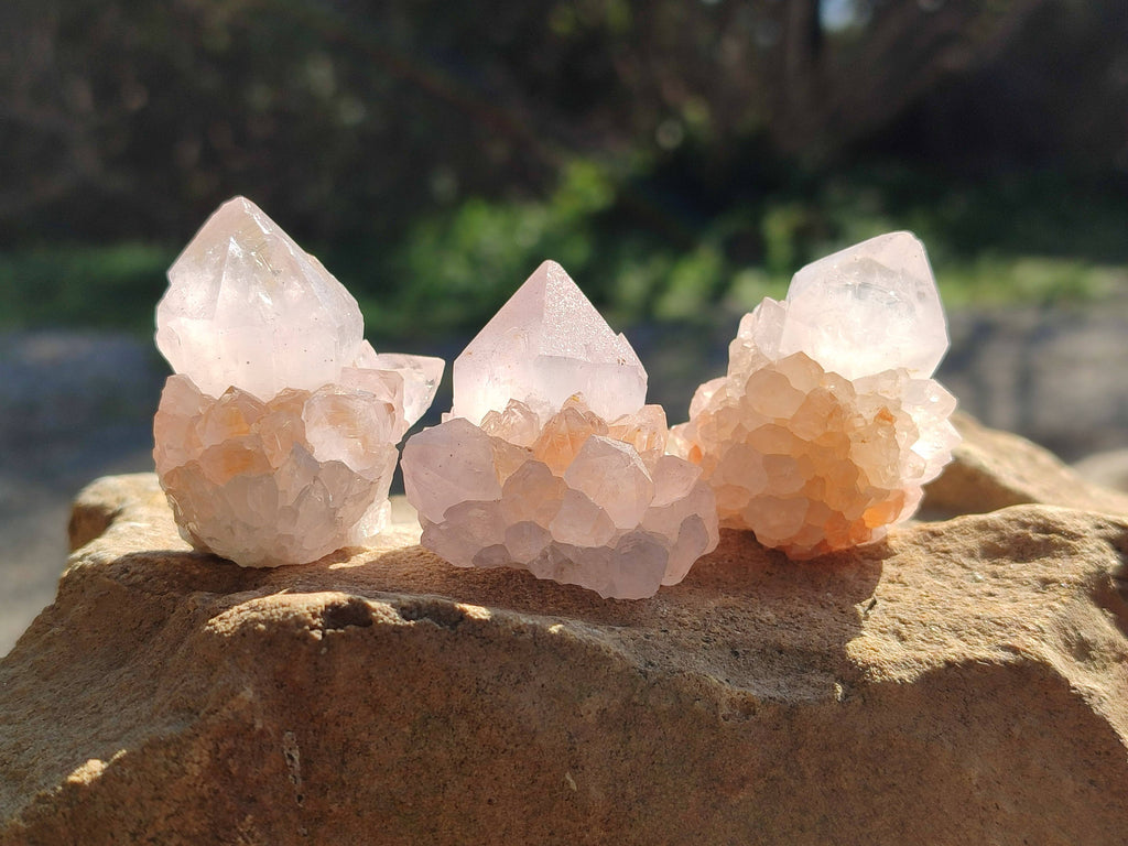 Natural Amethyst Spirit Quartz Specimens x 20 From South Africa - Toprock Gemstones and Minerals 