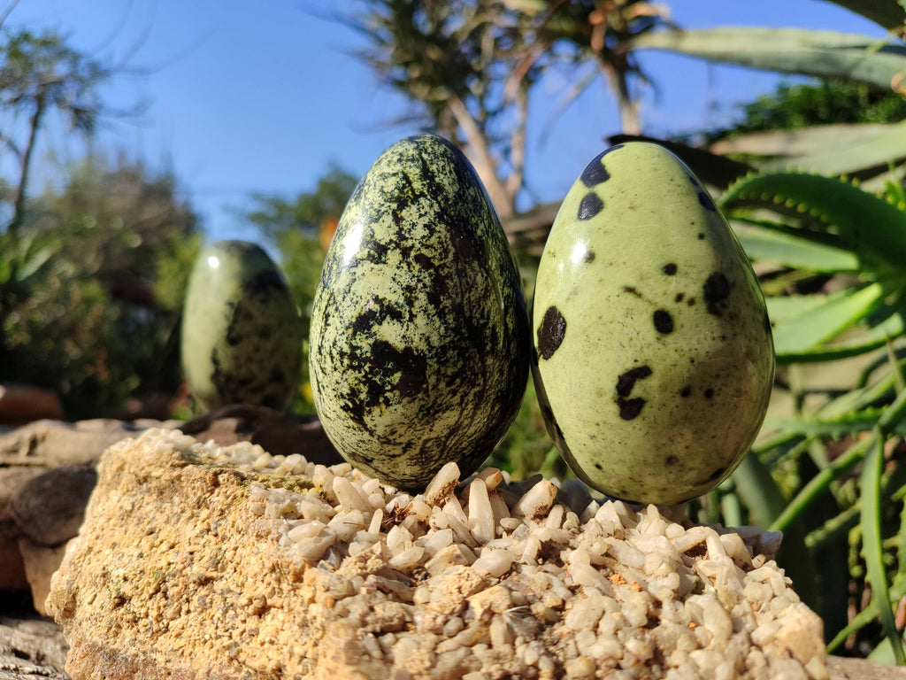 Polished Leopard Stone Free Forms x 4 From Nyanga, Zimbabwe - Toprock Gemstones and Minerals 