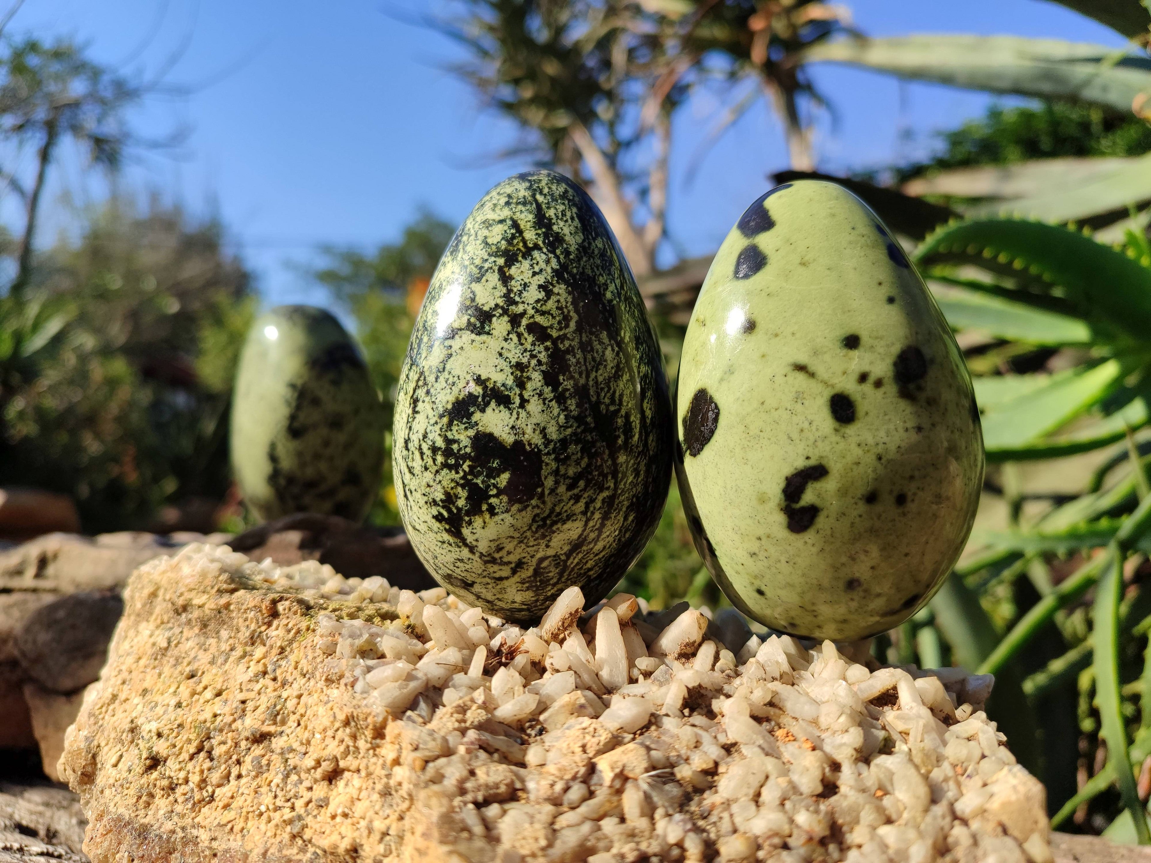 Polished Leopard Stone Free Forms x 4 From Nyanga, Zimbabwe - Toprock Gemstones and Minerals 