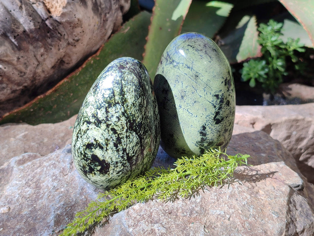 Polished Leopard Stone Free Forms x 4 From Nyanga, Zimbabwe - Toprock Gemstones and Minerals 