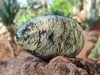Polished Leopard Stone Free Forms x 4 From Nyanga, Zimbabwe - Toprock Gemstones and Minerals 