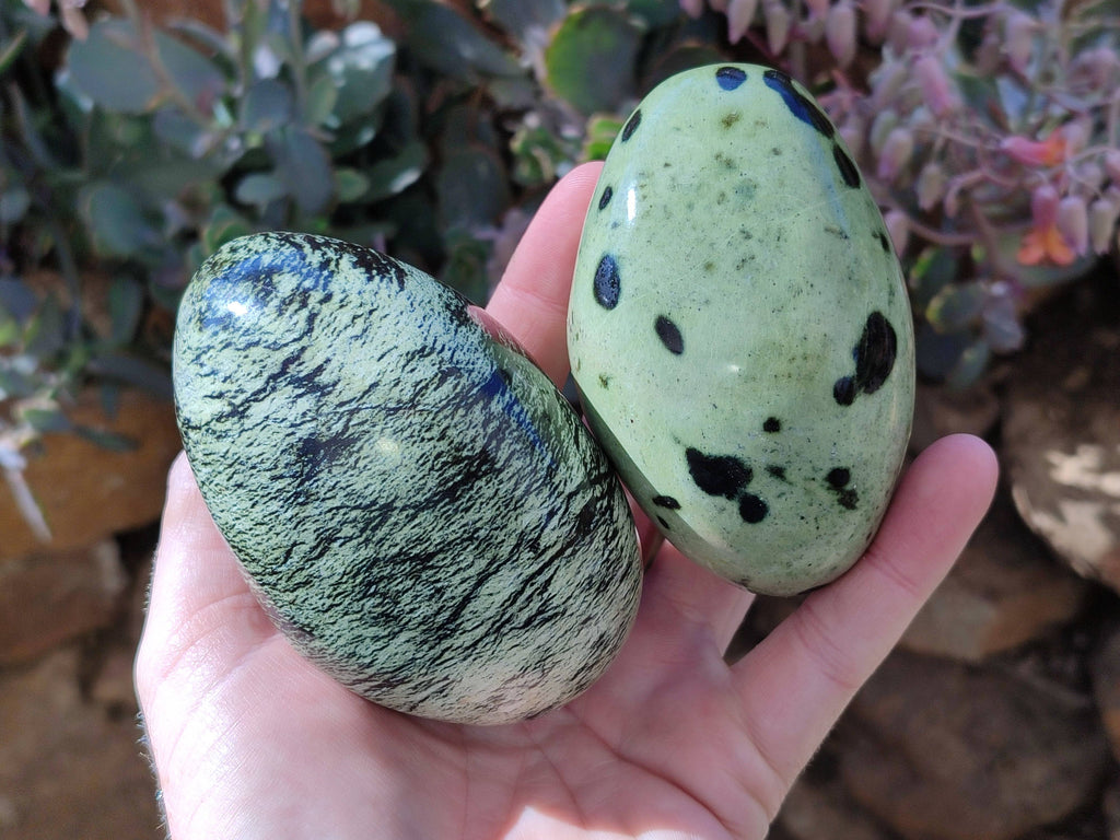 Polished Leopard Stone Free Forms x 4 From Nyanga, Zimbabwe - Toprock Gemstones and Minerals 