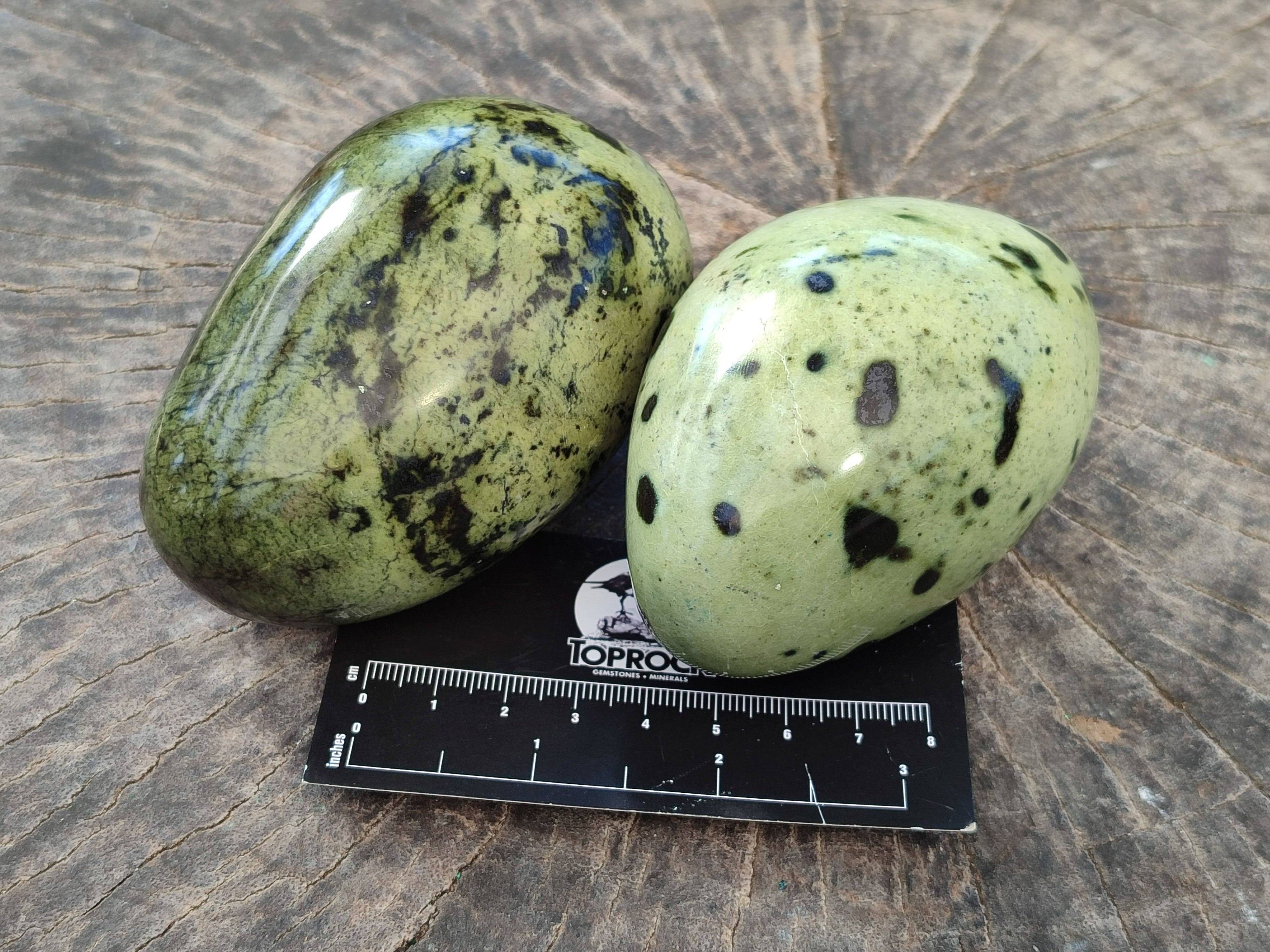 Polished Leopard Stone Free Forms x 4 From Nyanga, Zimbabwe - Toprock Gemstones and Minerals 