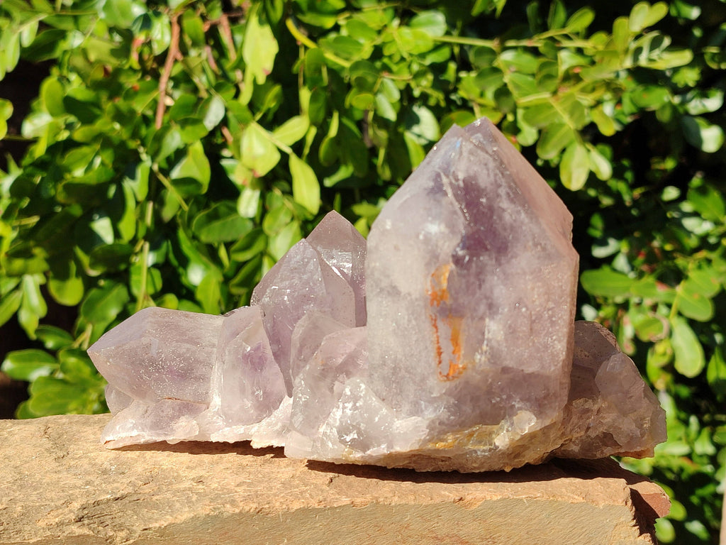 Natural Jacaranda Amethyst Clusters x 2 From Zambia - Toprock Gemstones and Minerals 