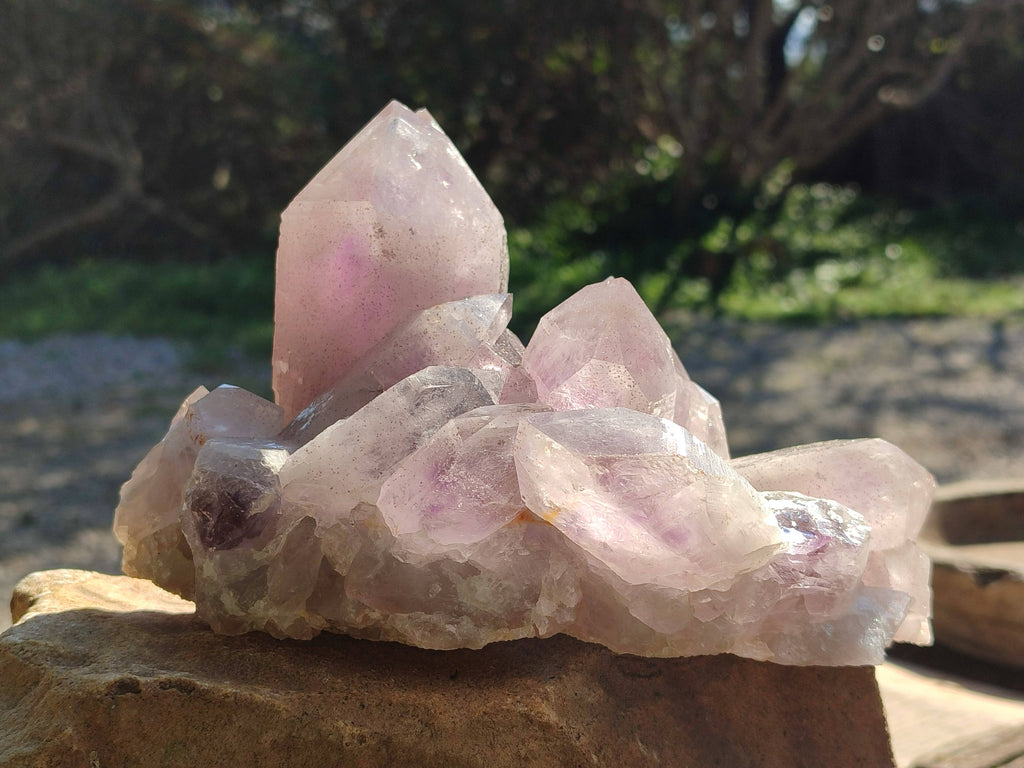 Natural Jacaranda Amethyst Clusters x 2 From Zambia - Toprock Gemstones and Minerals 