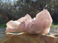 Natural Jacaranda Amethyst Clusters x 2 From Zambia