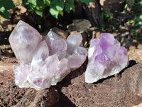 Natural Jacaranda Amethyst Clusters x 2 From Zambia