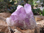 Natural Jacaranda Amethyst Clusters x 2 From Zambia - Toprock Gemstones and Minerals 