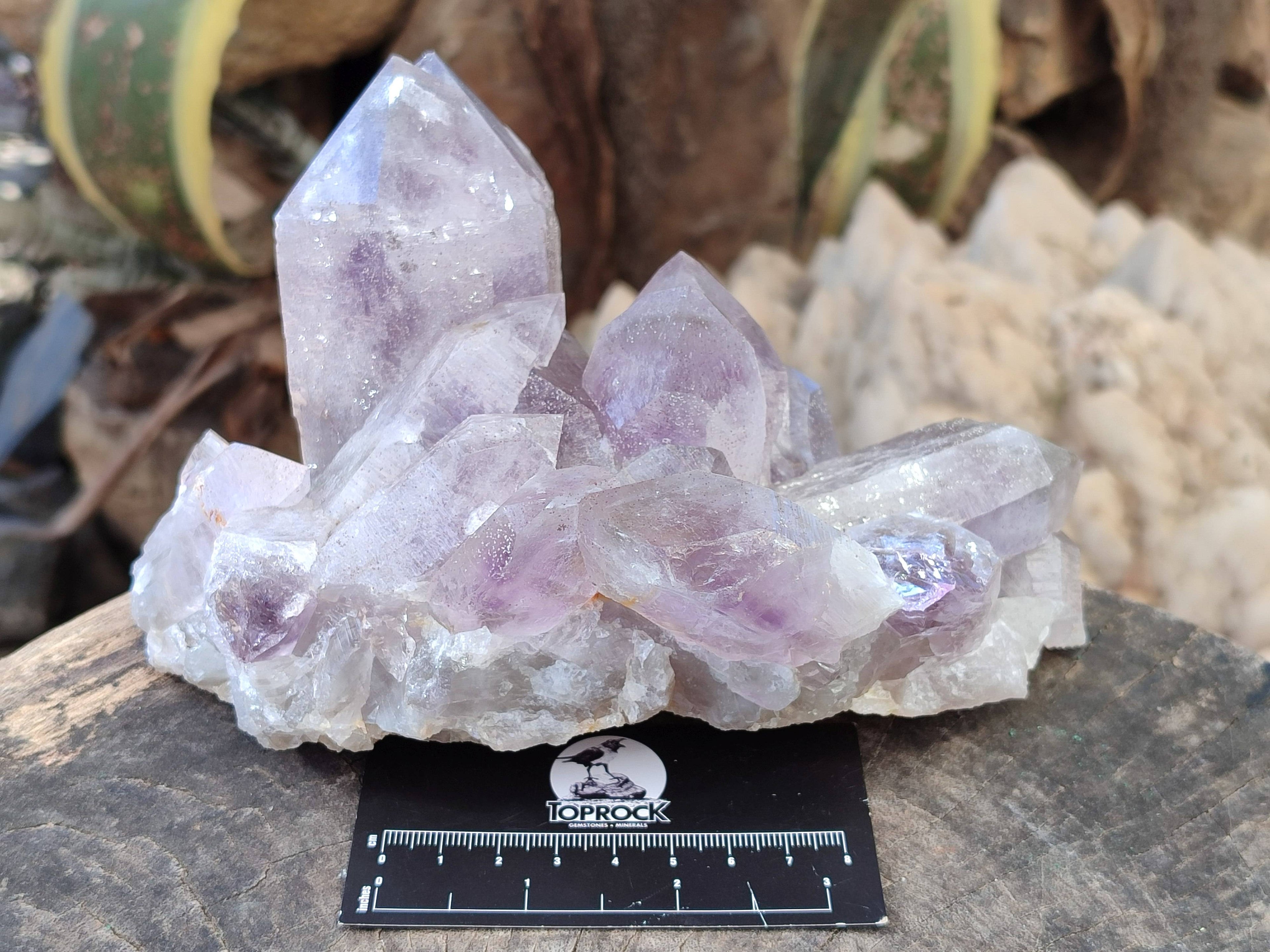 Natural Jacaranda Amethyst Clusters x 2 From Zambia - Toprock Gemstones and Minerals 