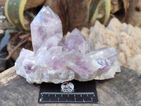 Natural Jacaranda Amethyst Clusters x 2 From Zambia