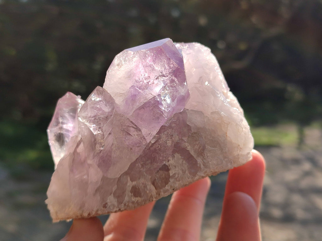Natural Jacaranda Amethyst Clusters x 2 From Zambia - Toprock Gemstones and Minerals 