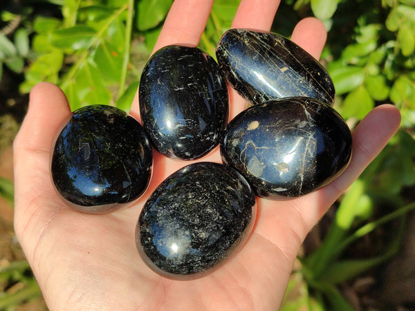 Polished Black Tourmaline Palm Stones x 20 From Madagascar