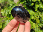 Polished Black Tourmaline Palm Stones x 20 From Madagascar - Toprock Gemstones and Minerals 