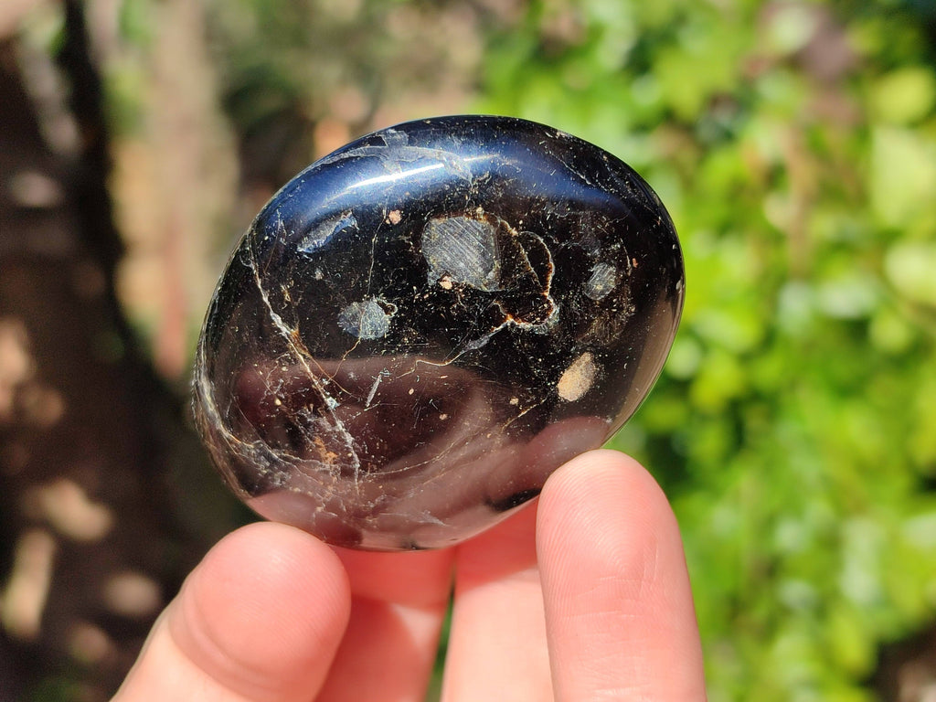Polished Black Tourmaline Palm Stones x 20 From Madagascar - Toprock Gemstones and Minerals 