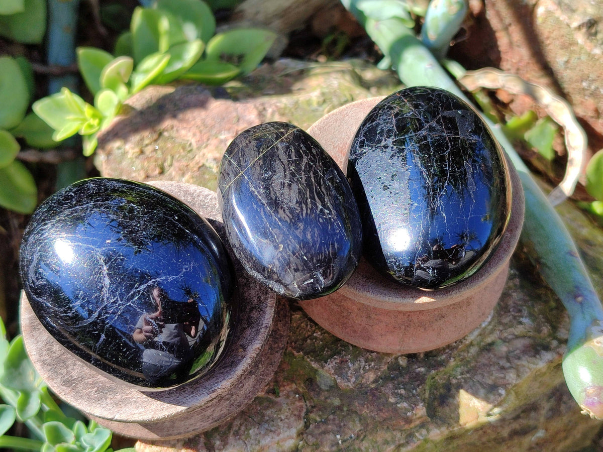 Polished Black Tourmaline Palm Stones x 20 From Madagascar - Toprock Gemstones and Minerals 