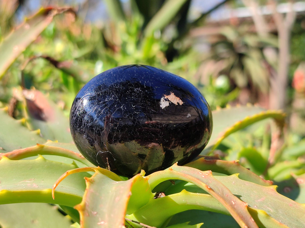 Polished Black Tourmaline Palm Stones x 20 From Madagascar - Toprock Gemstones and Minerals 
