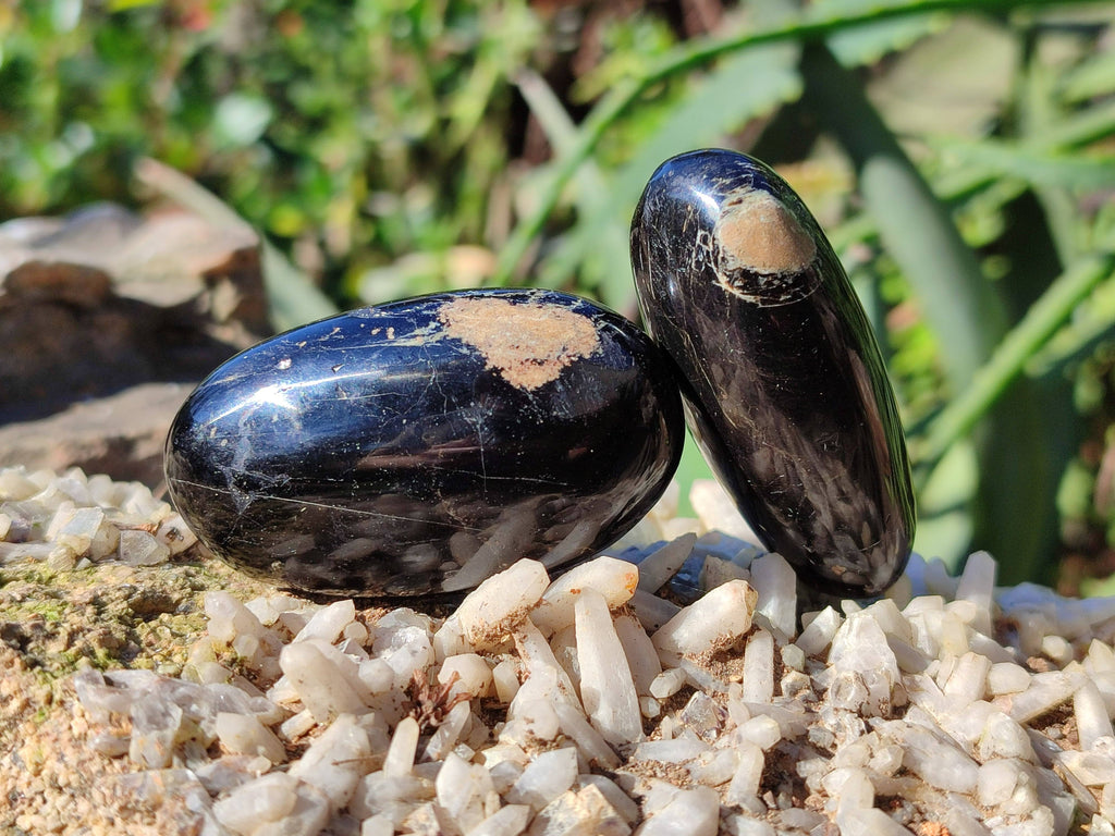 Polished Black Tourmaline Palm Stones x 20 From Madagascar - Toprock Gemstones and Minerals 