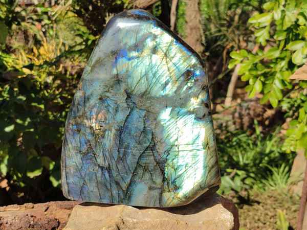 Polished Labradorite Standing Free Form x 1 From Tulear, Madagascar