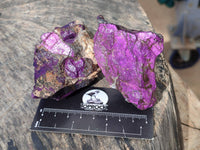 Natural Metallic Purpurite Cobbed Specimens x 12 From Erongo, Namibia - Toprock Gemstones and Minerals 