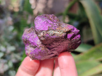 Natural Metallic Purpurite Cobbed Specimens x 12 From Erongo, Namibia