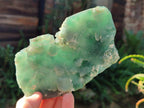 Polished On One Side Emerald Mtorolite x 2 From Mutorashanga, Zimbabwe - Toprock Gemstones and Minerals 