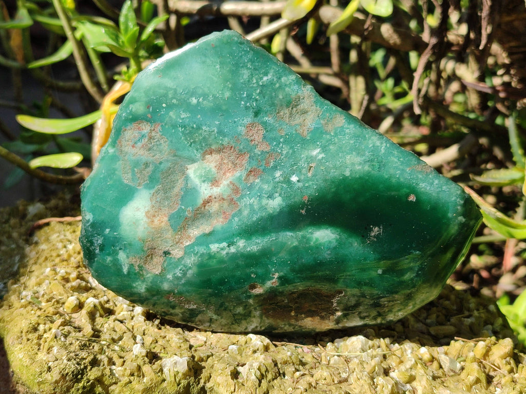 Polished On One Side Emerald Mtorolite x 2 From Mutorashanga, Zimbabwe - Toprock Gemstones and Minerals 