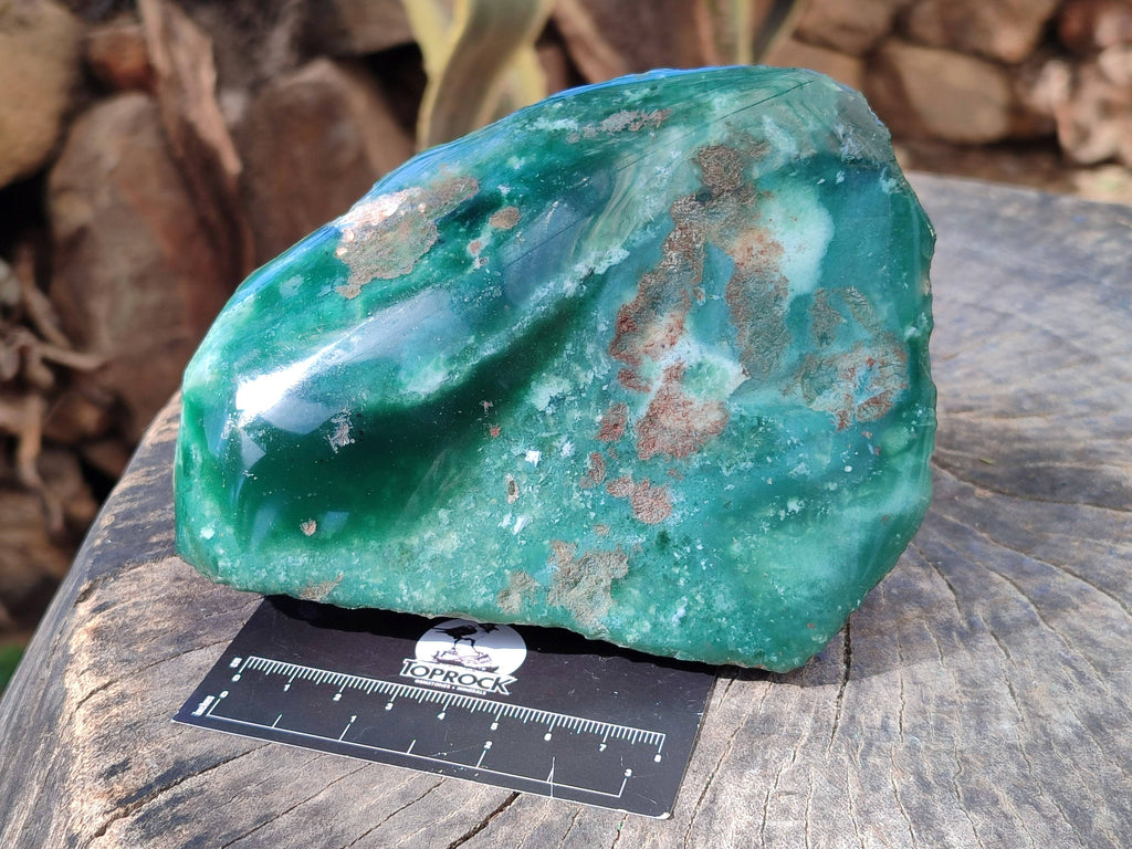 Polished On One Side Emerald Mtorolite x 2 From Mutorashanga, Zimbabwe - Toprock Gemstones and Minerals 