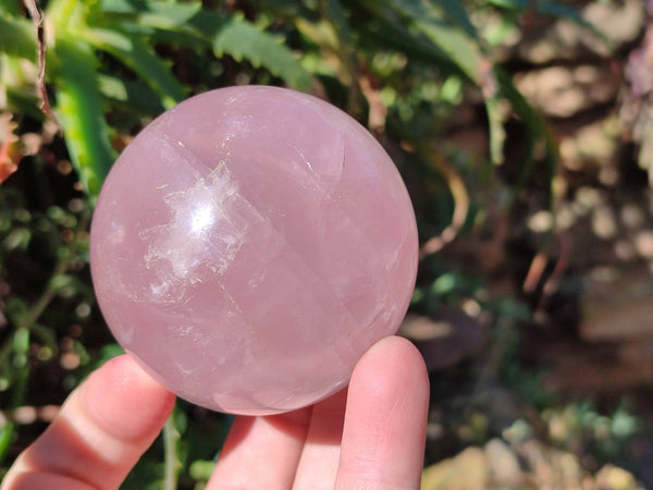 Polished Star Rose Quartz Spheres x 4 From Madagascar