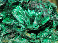 Natural Silky Malachite Specimens x 2 From Kasompe, Congo - Toprock Gemstones and Minerals 