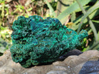 Natural Silky Malachite Specimens x 2 From Kasompe, Congo - Toprock Gemstones and Minerals 