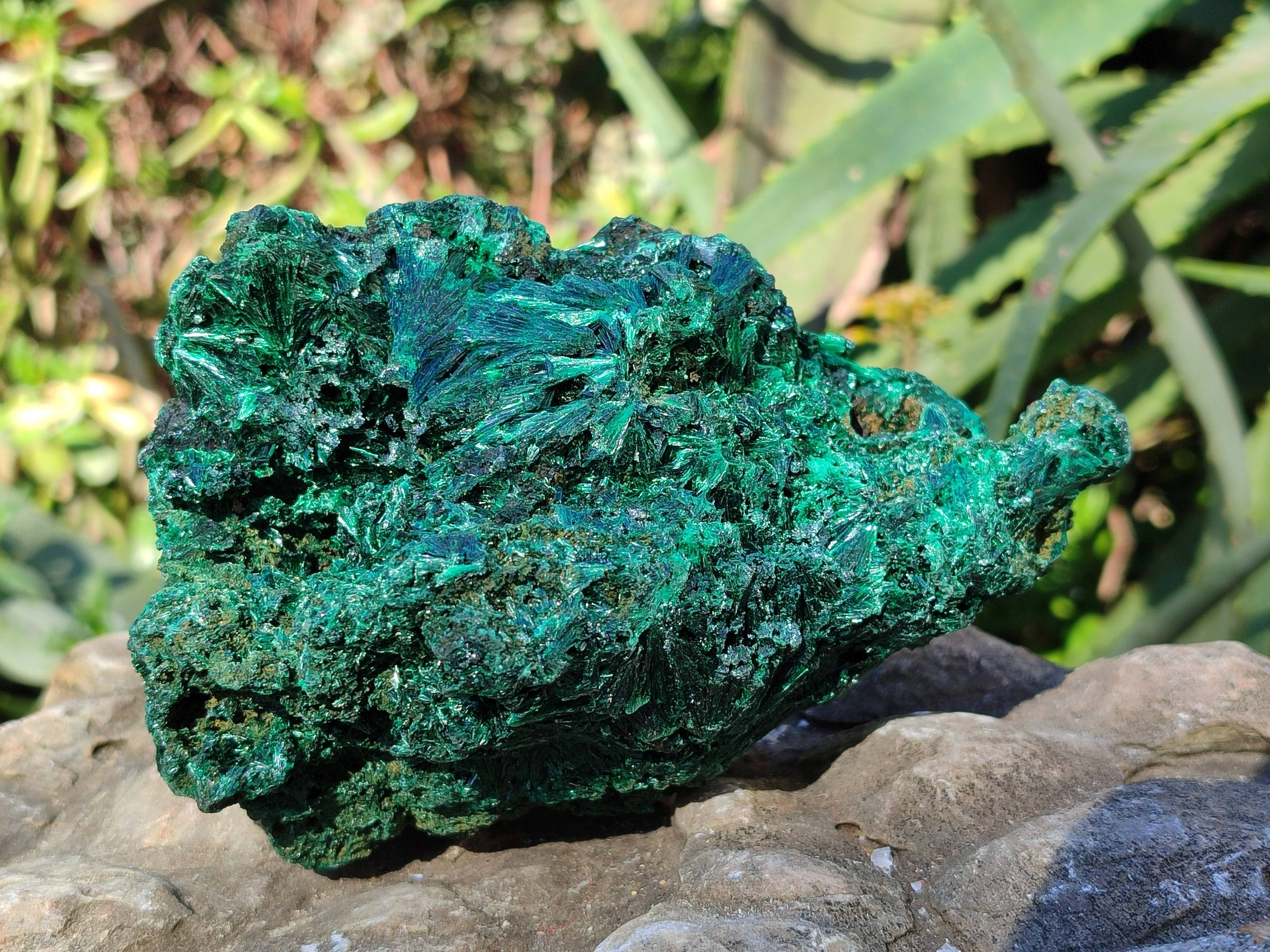 Natural Silky Malachite Specimens x 2 From Kasompe, Congo - Toprock Gemstones and Minerals 