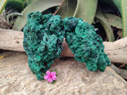 Natural Silky Malachite Specimens x 2 From Kasompe, Congo - Toprock Gemstones and Minerals 