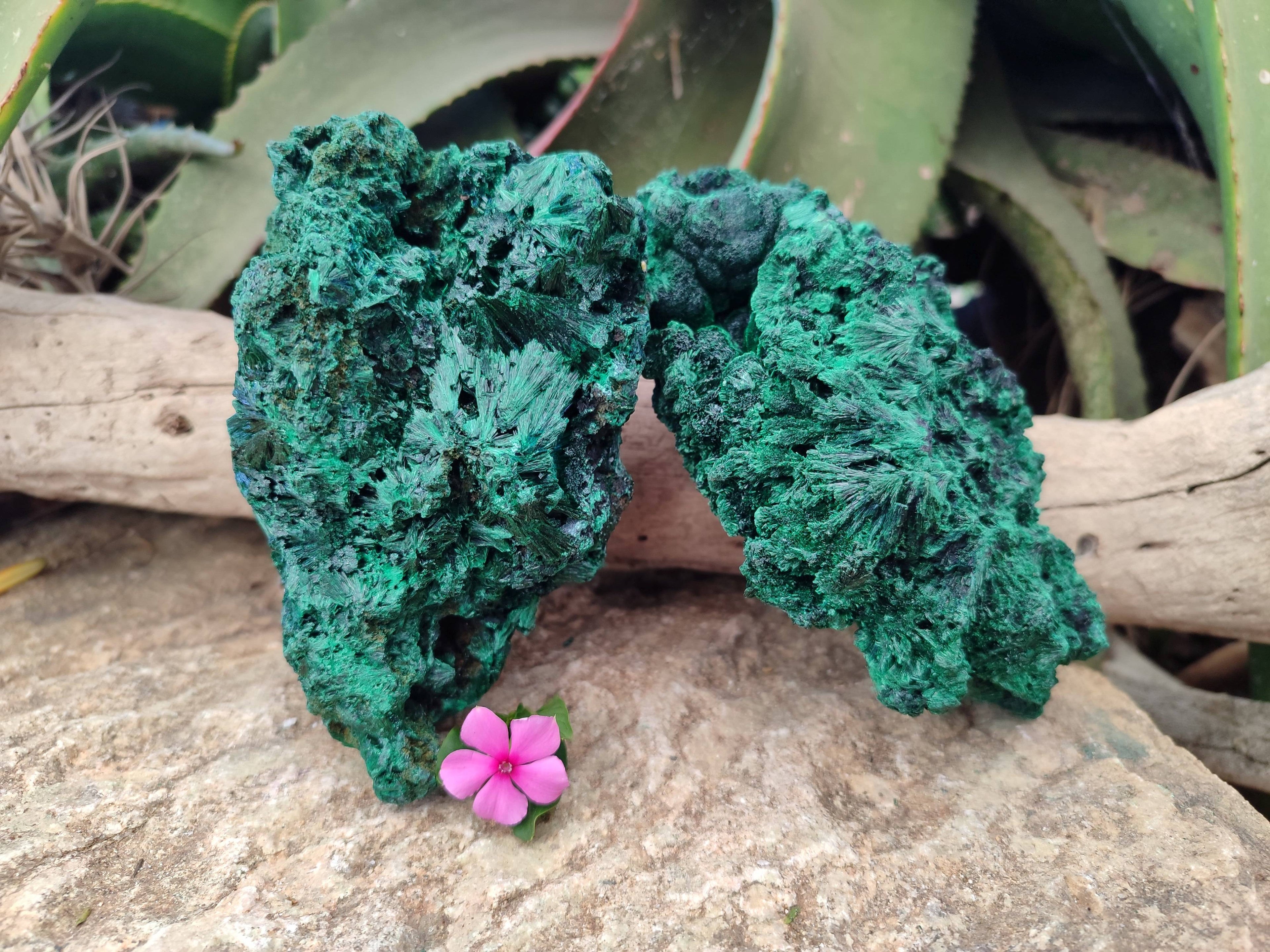 Natural Silky Malachite Specimens x 2 From Kasompe, Congo - Toprock Gemstones and Minerals 