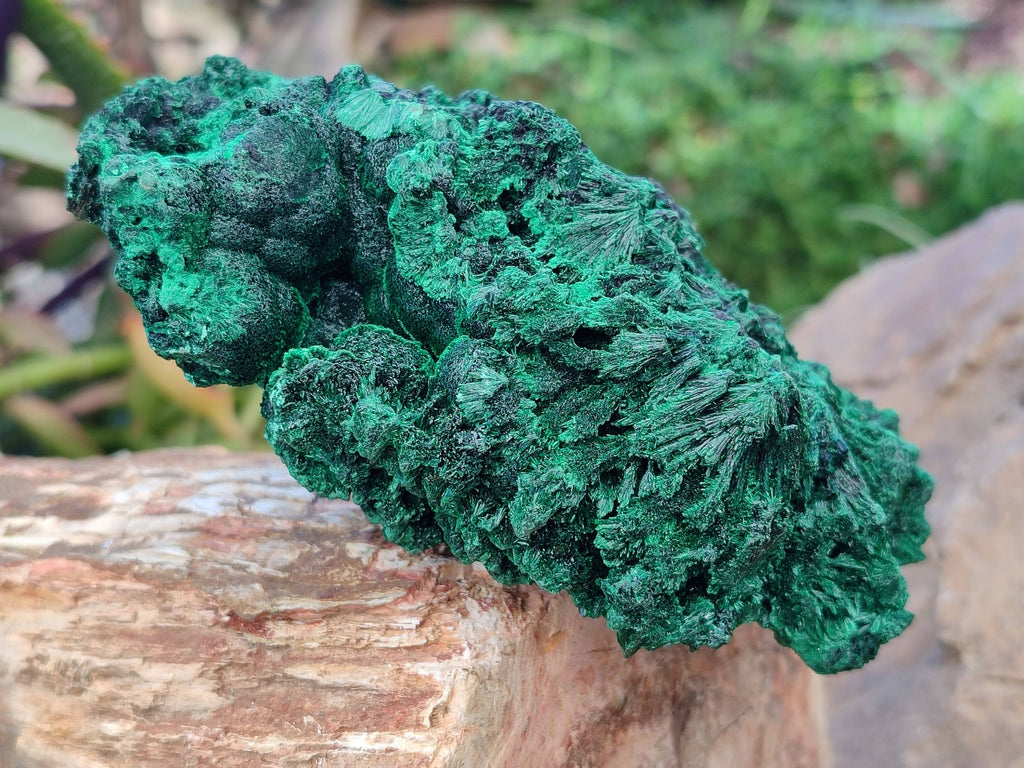 Natural Silky Malachite Specimens x 2 From Kasompe, Congo - Toprock Gemstones and Minerals 